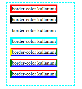 css border-color ornegi