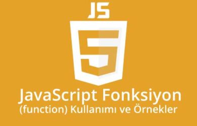 javascript fonksiyon kullanımı ve örnekleri